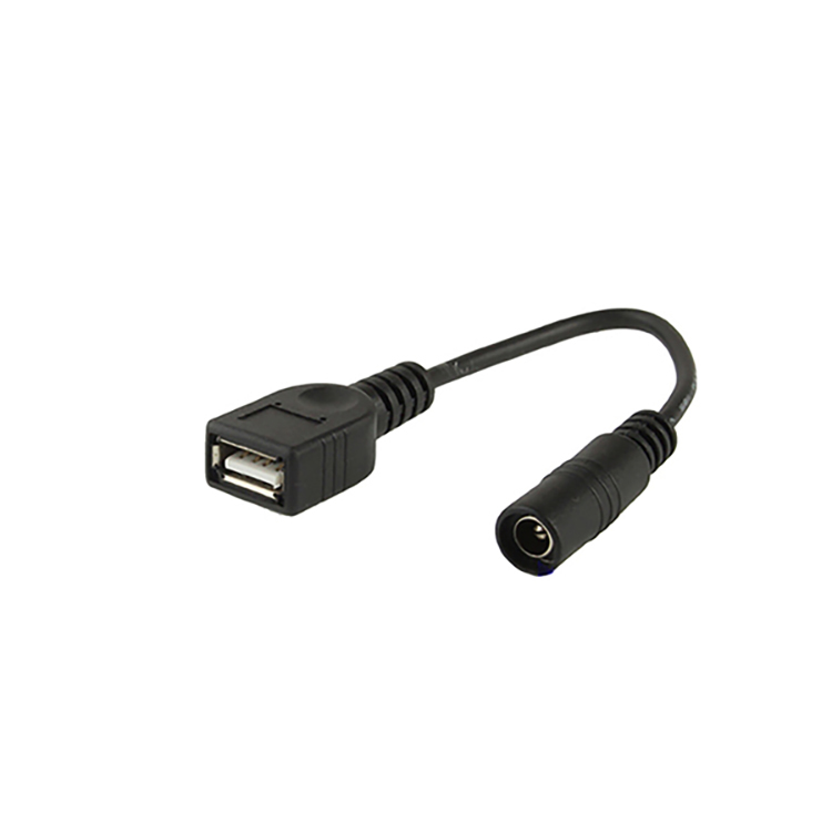 USB A メス - 5.5x2.1mm メス DC 電源ケーブル