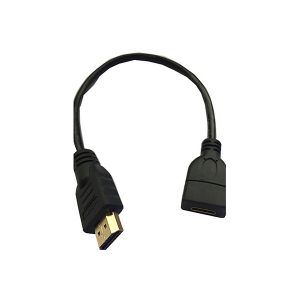 Câble convertisseur Mini HDMI femelle vers HDMI mâle HDTV