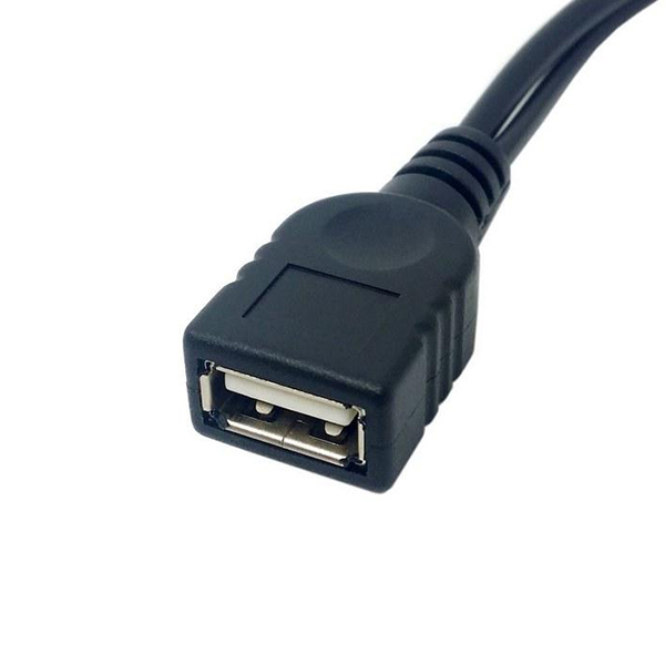 Cabo de extensão duplo USB 2.0-A macho para USB fêmea